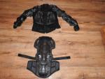 Klikněte pro detailní foto č. 10 - Chrániče: Chráničové brnění,krunýř,Nový